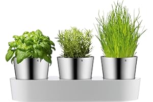 ‎WMF WMF Gourmet Kräutertopf mit Bewässerungssystem 3-teilig, Kräutergarten für die Küche, 36x 12,5X 12,5 cm, für frische Küchenkräuter, Blumentopf weiß