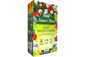 Natures Haven Easy Wildflower Mix Box - 1.2kg, GR