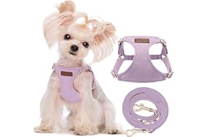 Puppytie Pettorina Cane Taglia Piccola con Guinzaglio per Cani - Morbida, Leggera, Regolabile, Senza Soffocamento, Antifuga, per Animali Domestici - Gilet per Cani - Lilla, XXS, 0.5-3 kg