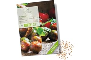 GROWGREENS Semi di pomodoro biologici (Black Cherry) - Semi di pomodoro da coltivare in giardino, sul balcone e sul orto rialzato