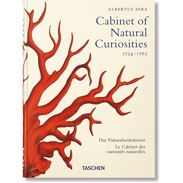 Cabinets of Curiosities: (E): Amazon.co.uk: Mauriès, Patrick