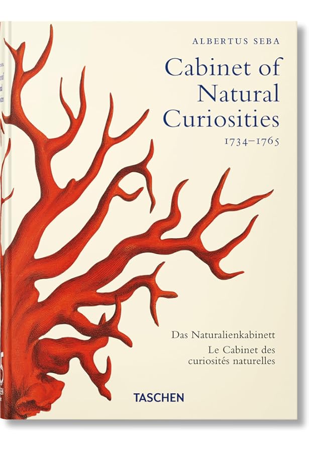 Cabinets of Curiosities　Patrick Mauries Cabinets of Curiosities | Patrick Mauries