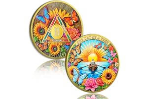 ATSKNSK Beautiful Sunflower 2 Year Sobriety Coin, One Day at a Time AA Medallion, Recovery Chip with Token Capsules, AA Coins with Butterfly and Flower Designs, Sobriety Gifts for Men Women