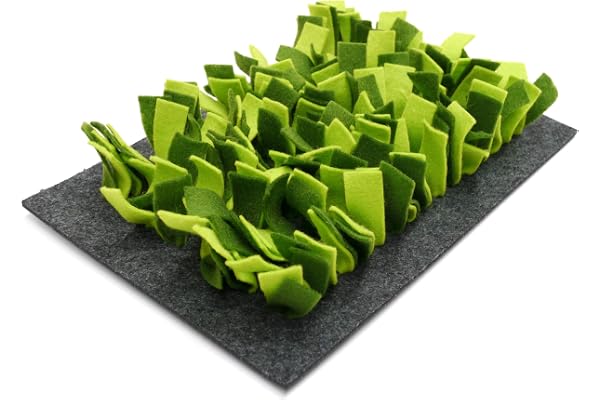Rosewood Tapis de Jeu pour Petits Animaux