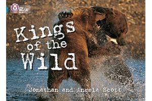 Kings of the Wild: BBC documentary makers Jonathan and Angela Scott take us into the Brown Bear kingdom. (Collins Big Cat)