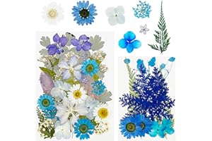 Cayway 40 Pz Naturali Pressati Fiori Pressati Secchi, Blu Foglie Pressate Naturali per Resina, Fiori Secchi Veri Pressati Fiori per Scrapbooking, Gioielli in Resina Epossidica