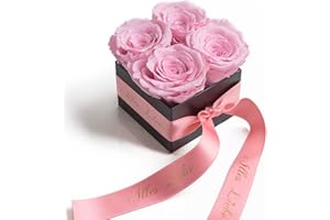 ‎ROSEMARIE SCHULZ HEIDELBERG ROSEMARIE SCHULZ Heidelberg Alles Liebe Muttertagsgeschenk - Rosenbox mit Infinity Rosen haltbar 3 Jahre 8,5 x 8,5 cm - Mama Geschenk (Alles Liebe, Rosa)