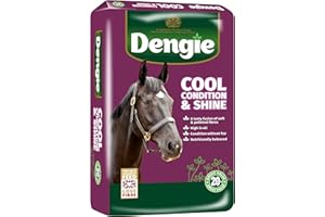 Dengie Cool Condition & Shine 20kg Balanced Horse Feed - Spearmint Oil for Fussy Horses - Soft Chopped Chaff & Alfalfa Pellets - Promotes Condition & Coat Shine