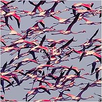 Deftones : Deftones: Amazon.pl: Płyty CD i winylowe