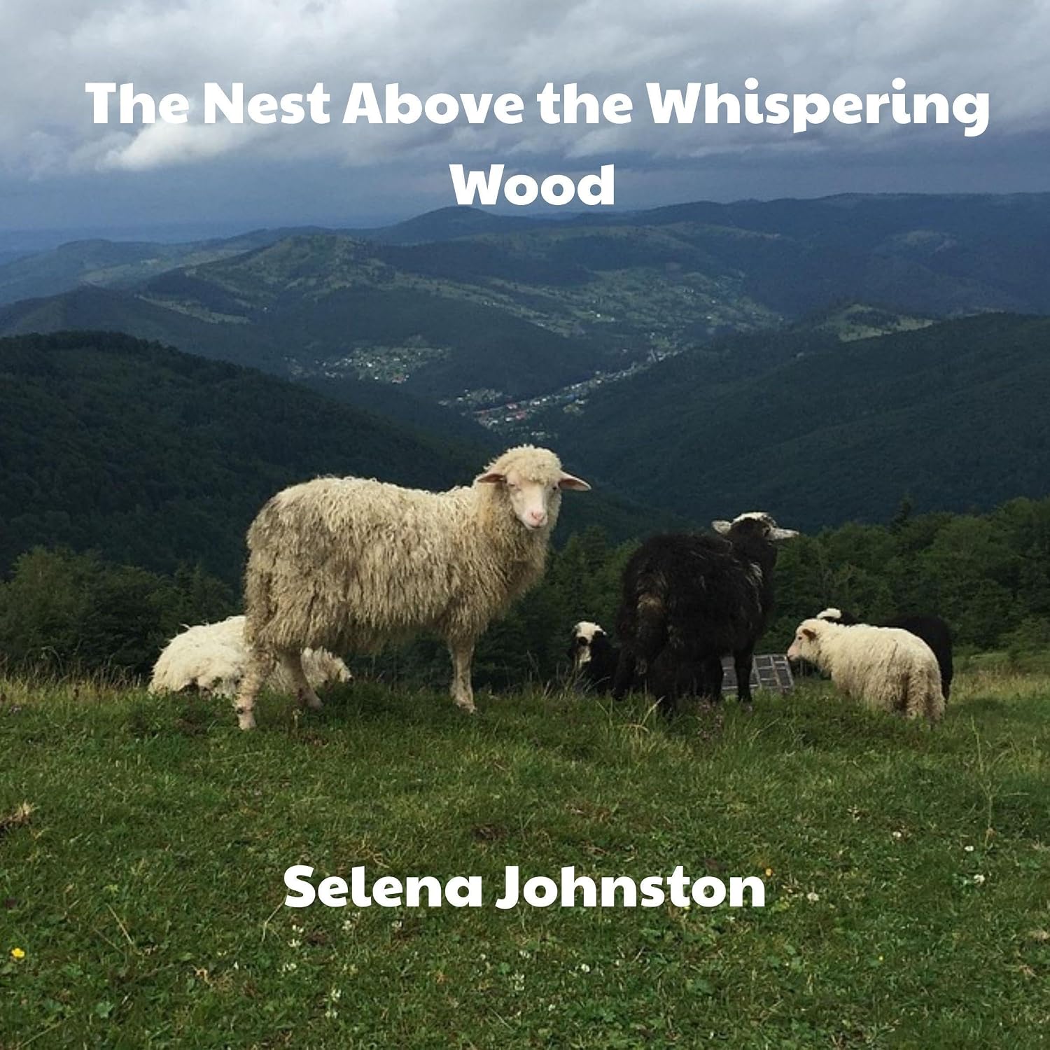Retour d'Expérience & Bilan Utilisateur : The Nest Above the Whispering Wood
