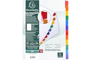 Exacompta - 1113E - Separadores en cartulina blanca 160g/m2 FSC® con 12 pestañas impresas mensualmente de enero a diciembre a color - Ficha imprimible - Formato a archivo A4