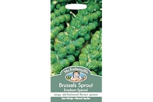 MR FOTHERGILLS SEEDS Brussels sprouts Evesham Special seeds