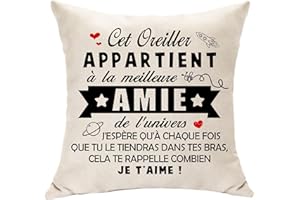Hasodeo Amie Cadeau Original Housse de Coussin Décoration - Meilleure Amie Cadeau pour Femme Fille Anniversaire Journée de l'Amitié 45 x 45