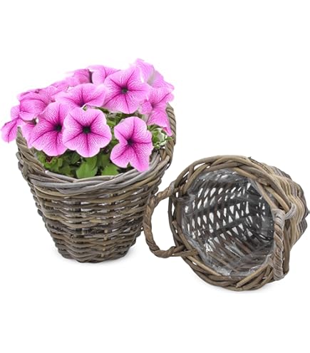 FRANK VLECHTWAREN Bloempot Plantenbak Balkonplanter Rotan, Middel