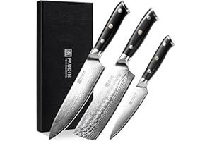 PAUDIN coltello da coltello damatico set, coltello da cucina in acciaio tedesco, coltello da coltello da sushi con maniglia ergonomica VG10