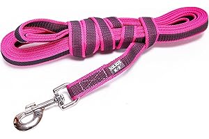 JULIUS K-9 Julius-K9 216GM-PN-S5 Laisse antidérapante Color & Gray avec poignée, 20 mm x 5 m, Rose-Gris