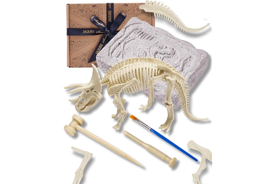 Jaques of London Fossil Dig Kit - Triceratops