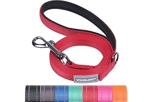 VIVAGLORY Dailyx Dog Lead, Dog Leash for Training & Walking with Soft Padded Handle, Heavy Duty & Double Layer Nylon for Pet Puppy, 150 x 1.4cm, Red