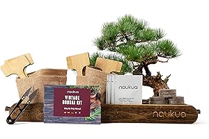 NAUKUA Zestaw Startowy Bonsai - 4 Drzewka Bonsai (Organiczne Nasiona) - Unikalny Pomysł Na Prezent - Wszystko, Czego Potrzebujesz, Aby Wyhodować Własne Drzewka Bonsai w Domu - Kompletna Instrukcja Obsługi Krok Po Kroku.