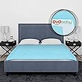 OYO BABY Extra Absorbent Waterproof Baby Dry Sheet Double Bed (260 x 200cm) | Quick Dry Sheet for New Born Baby Bed Protector, Soft & Breathable Rubber Sheet for Bed|Blue