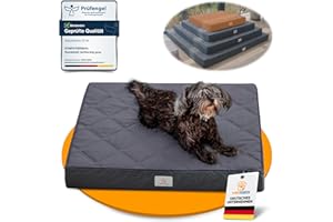 SYMPATIERISCH Orthopädisches Hundebett [Wasserdicht] - Die neue Lieblings-Hundematte deiner Fellnase, Rutschfestes Hundekissen, Hundekörbchen, Hundekorb, Bezug waschbar | Kleine bis große Hunde - 70x60x8 cm