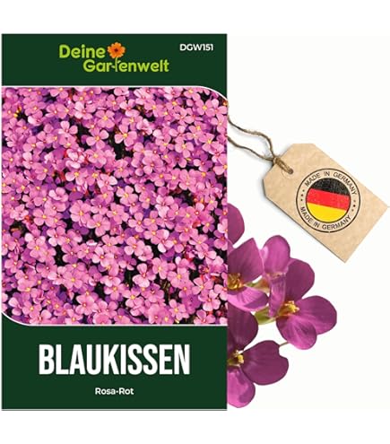 Steingarten Mischung mehrjhrig Staude : Amazon.de: Garten