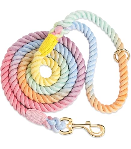 Mile High Life Hundeleine Aus Echtem Leder – Mit Drehbarem Karabiner & Gepolstertem Griff, 1,5 M
