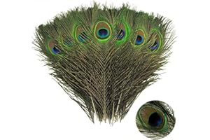 HCYANGZHANG 16 natürliche echte Pfauenfedern,25-30cm Lang Schöne Pfau Schwanzfedern Augen Federn Dekorationen für Heimwerker Embellishments Hochzeitsfeier-Heimdekorationen