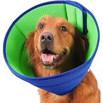 Manica Protettiva Impermeabile Per Cani Coodeo – Alternativa Al Collare A Cono, Copre Le Zampette Anteriori