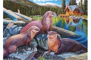 QENSPE 5D Diamond Painting Kits Sea Otter Diamond Art Kits for Adults, Full Drill Landscape Diamond Painting Kits for Kids Beginner Crystal Picture Art for Home Wall Decor 40x30cm