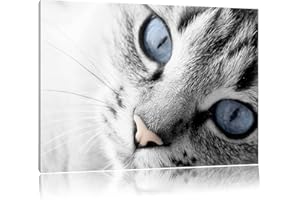 PIXXPRINT beaux yeux de chat noir / blanc Taille: 60x40 sur toile, énorme XXL Photos complètement encadrées avec civière, art impression sur murale avec cadre, moins cher que la peinture ou la peinture à l'huile, aucune affiche ou un poster