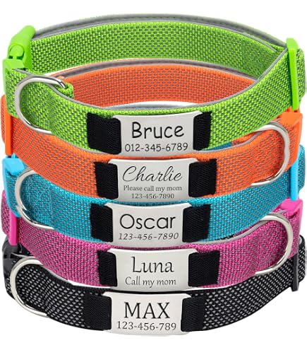 Reflektierendes Hundehalsband Aus Nylon – Personalisierbar Mit Namensschild, Verstellbar Für XS Bis XL