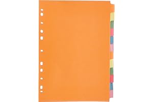 5 Star 330925 - Separadores de cartulina, colores surtidos