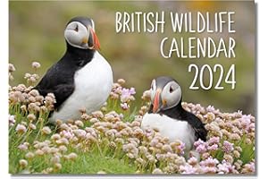 A4 British Wildlife Calendar 2024 UK. One Month to View. UK, Scotland, RoI & N Ireland Bank Holidays. Wall Calendar by Absolutely Yours.