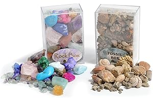 BRITISH FOSSILS Fossil and Rock Box Set. Pack of 2 Boxes