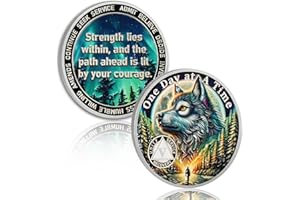 ATSKNSK Brave Wolf 5 Year Sobriety Coin - One Day at a Time AA Coin, Alcohol Free Five Year Recovery Chip with Token Capsule, Inspirational Sobriety Gifts for Men & Women
