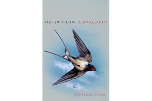 SQUARE PEG The Swallow: The perfect Christmas gift for bird lovers: 3 (The Bird Biography Series, 3)
