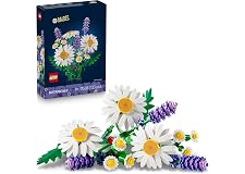 Daisies 11508