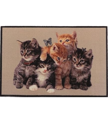 Fußmatte Katze 40x60 Cm – Wetterfeste, Rutschfeste Matte Für Innen & Außen