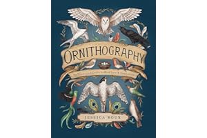 Ornithography: An Illustrated Guide to Bird Lore & Symbolism (Volume 2)