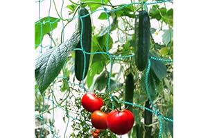 GardenGloss® Premium siatka na rośliny pnące o dużej szerokości oczek do wyjątkowo wydajnych zbiorów ogórków, pomidorów i innych warzyw – kratka dla roślin pnących (5,00, 2)