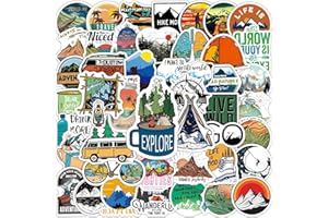 BIMANI 100PCS Autocollants pour bouteilles d'eau, ordinateurs portables, planches à roulettes, etc.