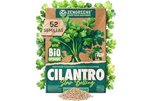 ZenGreens® - Semillas de cilantro ecológicas - Semillas de hierbas para cultivar fácilmente en el jardín, balcón o cocina - ideal para principiantes