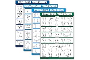 ‎PALACE LEARNING Palace Learning 4 Stück – Hanteltraining + Bodyweight Workout + Stretching Übungen + Kettlebell – Set mit 4 Trainingstabellen (45,7 x 61 cm, laminiert)