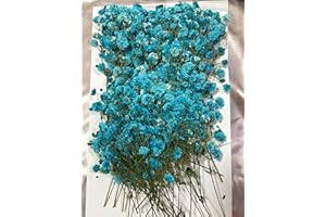 SHIIYYU 50Pcs Dried Baby's Breath Flowers, Real Nature Dried Mini Gypsophila Flowers , Dried Pressed Flowers for Resin Art Craft DIY Making Wedding Card Home Party Décor (Blue)