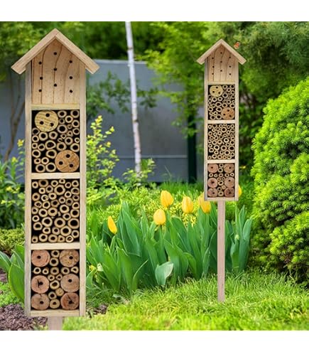 Hoe lok je insecten naar je tuin? Insectenhotel, water, hout en meer