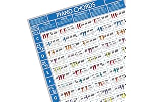 BIRDS PIANO ACADEMY The Piano Chords Poster - Piano & Keyboard Chord Chart | Learn Piano Chords | Piano Practise Aid | Pianists, Singers and Songwriters Piano Chord Aid (16x20 Inches Folded)