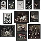 97 Decor Dark Cottagecore Decor - Dark Academia Decor For Bedroom, Dark Posters For Room Aesthetic, Cottage Core Whimsical Wa