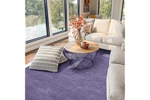 FVVRAX Area Rugs Living Room Rug, Soft Fluffy Bedroom Rug Floor Carpet with Durable Anti-slip Backing, Large Carpets for Kids Girls Dorm Nursery Bedside Rug, 122x183cm, Grey Purple