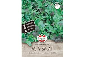 Sperli Premium Asia Salat | Asia Spicy Green Mix | 4 Sorten | Asia Salat Samen | winterhart ganzjährig